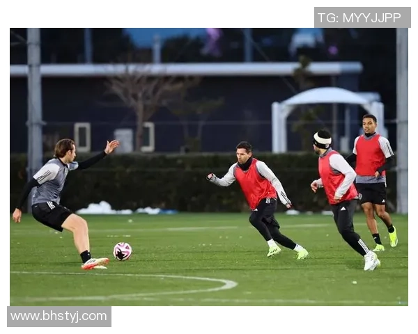 荷兰足球比赛精彩回顾与分析球迷热情高涨的背后故事